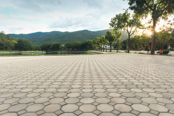 Professional Driveway Pavers in Gilman, IL